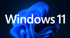 Enshrouded for Windows 11